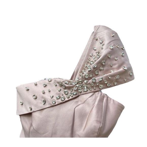 $1095 NWT Sachin & Babi Blush Gown Crystal Embellished - Picture 4 of 8